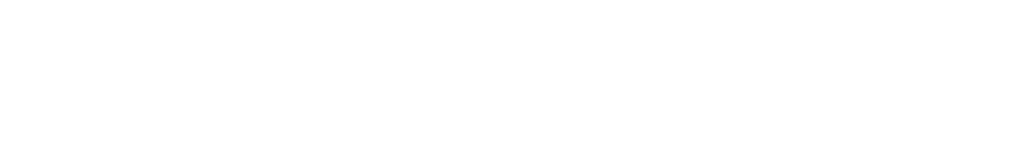 Logo IHE Blanco
